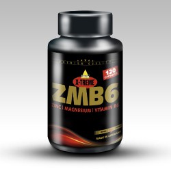 INKOSPOR X-Treme ZMB6 120 kaps.